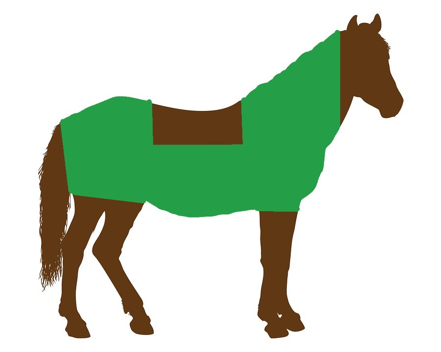 Pferd mit Jagdpferschnitt