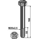 Schraube mit Sicherungsmutter - M20 x 2,5 - 10.9
