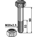 Schraube mit Sicherungsmutter - M20 x 2,5 - 8.8