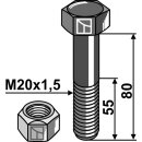 Schraube mit Sicherungsmutter - M20 x 1,5 - 10.9
