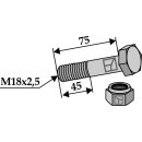 Schraube mit Sicherungsmutter - M18 x 2,5 - 8.8