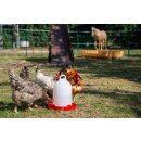 Küken- und Hühnertränken | mit Bajonettverschluss (5,5 L)
