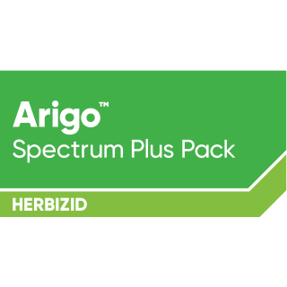 Arigo Pack 1Stück