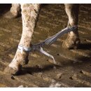 KAMER Fußfessel für Kühe | Nylon | blau