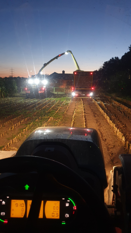 LED Arbeitsscheinwerfer am Traktor und Mähdrescher bei der Maisernte